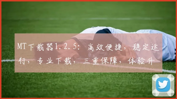 MT下载器1.2.5：高效便捷，稳定运行，专业下载，三重保障，体验升级，必备神器