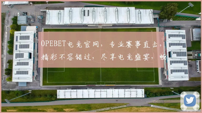 OPEBET电竞官网，专业赛事直击，精彩不容错过，尽享电竞盛宴，畅玩无忧