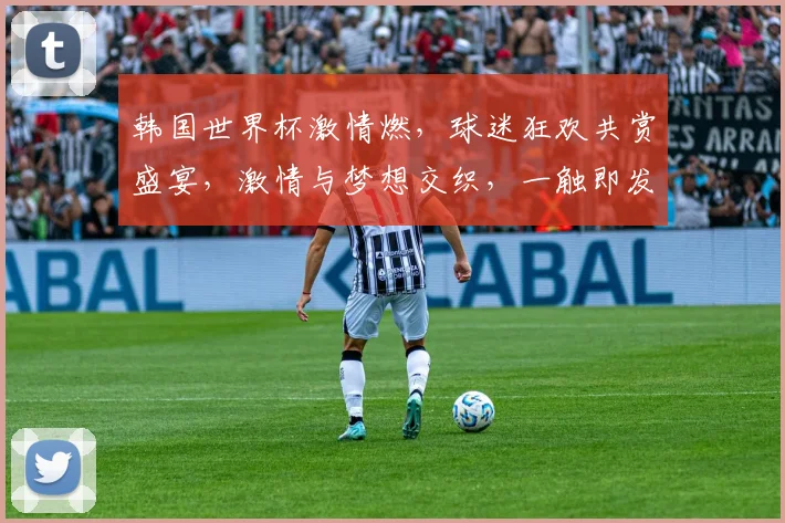韩国世界杯激情燃，球迷狂欢共赏盛宴，激情与梦想交织，一触即发
