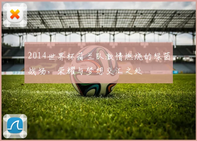 2014世界杯荷兰队激情燃烧的绿茵战场，荣耀与梦想交汇之处