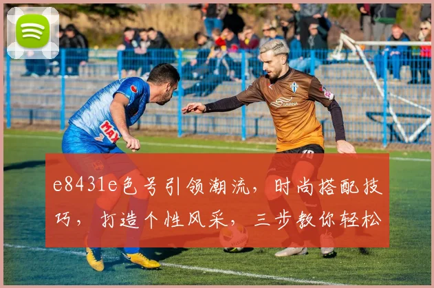 e8431e色号引领潮流，时尚搭配技巧，打造个性风采，三步教你轻松驾驭