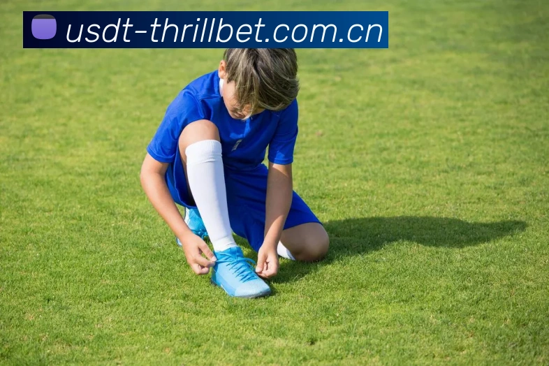 USDT每日体育推荐投注发展历程
